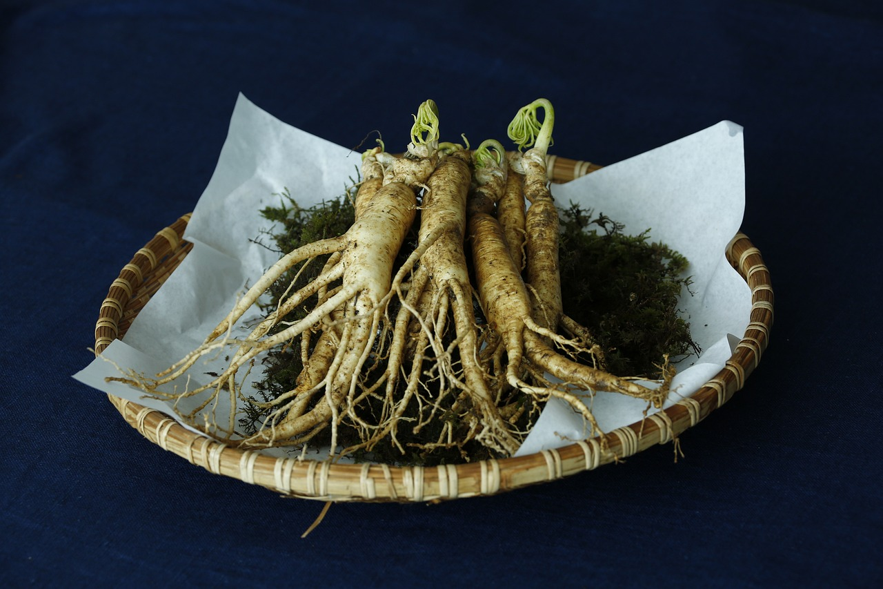 Image du ginseng sur Pixabay